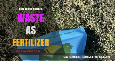 Transform Chicken Waste into Nutrient-Rich Fertilizer for Your Garden