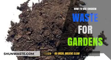 Transform Chicken Waste into Garden Gold: Eco-Friendly Composting Tips