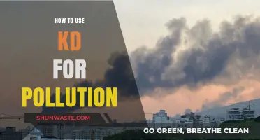 KD Trees: Pollution Data Solution