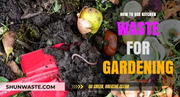 Transform Kitchen Scraps into Garden Gold: Eco-Friendly Composting Tips