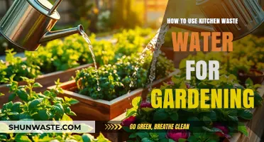 Eco-Friendly Gardening: Transforming Kitchen Waste Water into Plant Nutrients