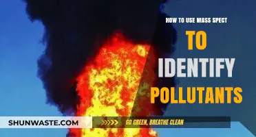 Unlocking Pollutant Identification with Mass Spectrometry