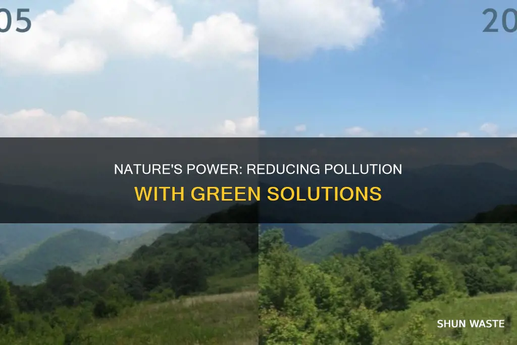 how to use nature to reduce pollution