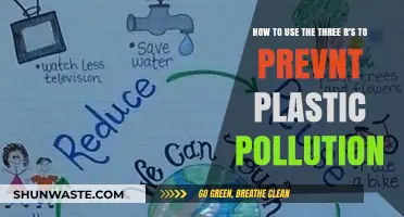 Reducing Plastic Pollution: The Power of Reuse, Recycle, Refuse