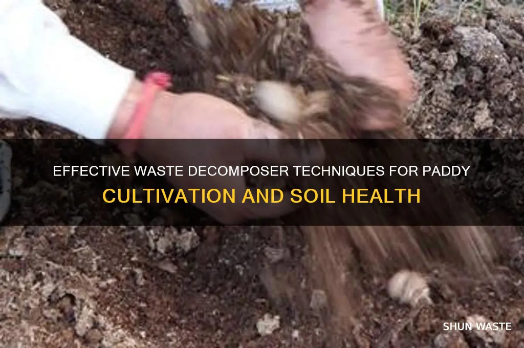 how to use waste decomposer in paddy