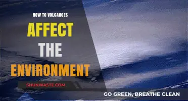 Volcanic Eruptions: Environmental Impacts and Ecosystem Transformations Explained