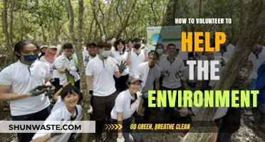 Volunteer for a Greener Future: Simple Ways to Help the Environment