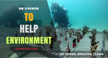 Volunteer for a Greener Future: Simple Steps to Help the Environment
