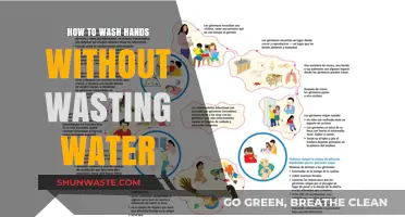 Eco-Friendly Handwashing: Save Water, Stay Clean, and Protect the Planet