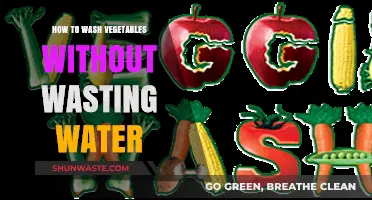 Eco-Friendly Veggie Cleaning: Save Water, Stay Healthy, Wash Smartly