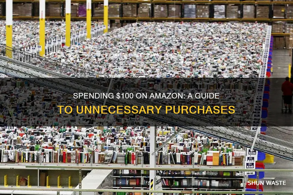 how to waste 100 dollars on amazon