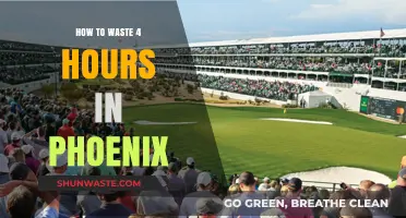 Phoenix Time-Wasters: 4 Hours of Fun and Frivolous Adventures