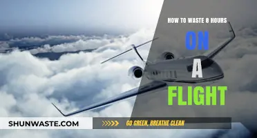 Maximize Your Flight Time: 8 Hours of Productive Wasting Strategies