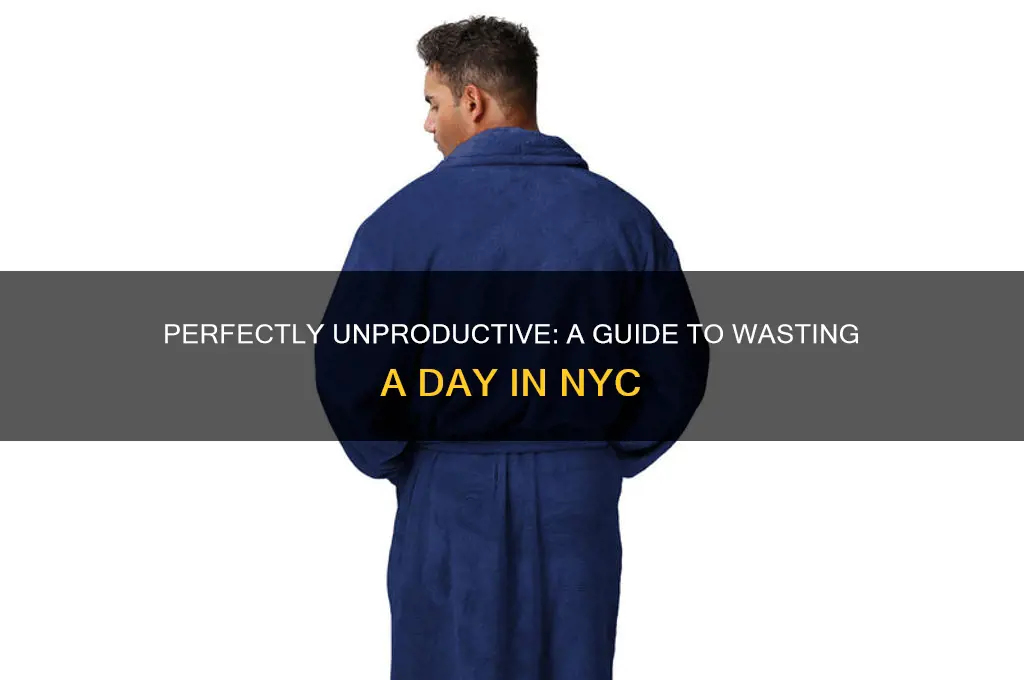 how to waste a day in new york city