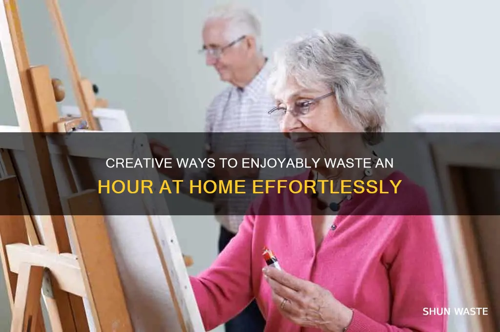 how to waste an hour at home