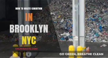 Brooklyn's Waste Management: Effective Condition Strategies for NYC Residents