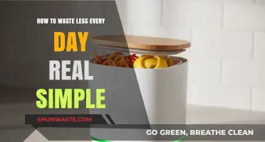 Simple Daily Habits to Cut Waste and Live Sustainably
