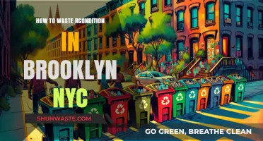 Efficient Recycling Tips: Avoid Wasting Resources in Brooklyn, NYC