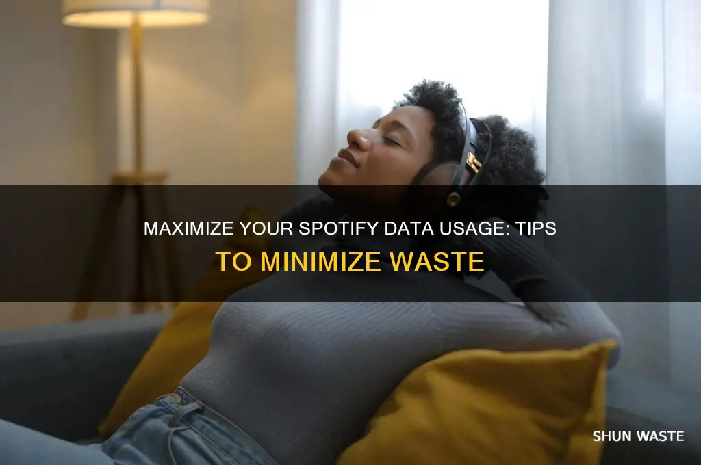 how to waste the least amount of data in spotify