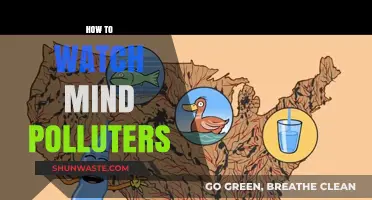 Mind Polluters: What to Watch Out For