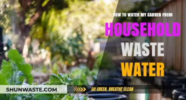 Eco-Friendly Gardening: Reusing Household Waste Water to Hydrate Your Garden