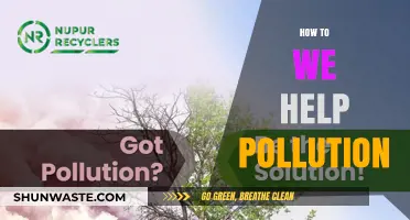 Green Solutions: Reducing Pollution, Saving the Planet
