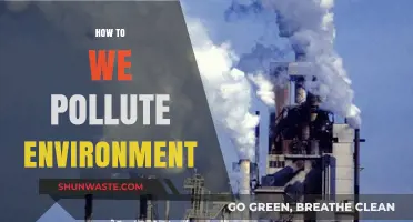 Human Impact: Environmental Pollution and Our Role