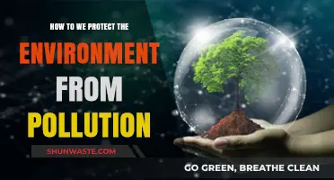 Protecting Nature: Pollution Prevention Strategies