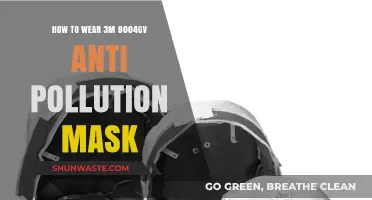 Protecting Yourself: Wearing the 3M 9004GV Mask