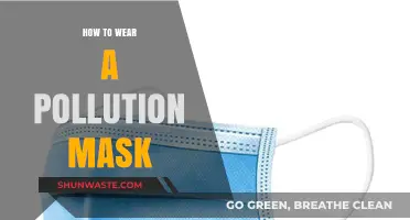 Protecting Yourself: Wearing a Pollution Mask