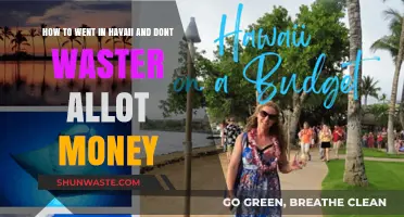 Budget-Friendly Hawaii Travel: Tips to Save Big on Your Tropical Getaway