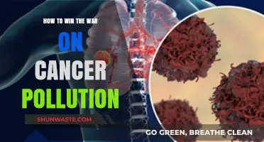Cancer Pollution: Strategies for a War on Toxins