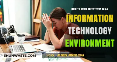 Mastering IT: Strategies for Effective Work in Tech Environments