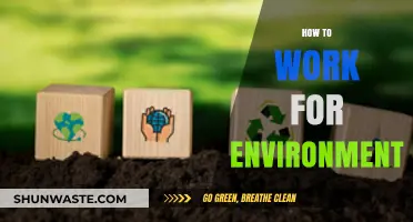 Sustainable Steps: Practical Ways to Work for a Greener Environment