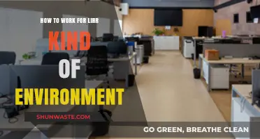 Navigating the LIRR Workplace: Tips for Thriving in a Unique Environment