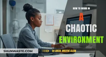 Mastering Chaos: Strategies for Thriving in Unpredictable Work Environments