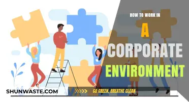 Mastering Corporate Culture: Strategies for Success in the Workplace