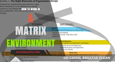 Mastering Matrix Management: Strategies for Success in Complex Work Environments