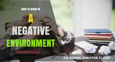 Surviving and Thriving: Strategies for Navigating a Negative Work Environment