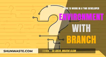 Efficient Branching Strategies for Two-Developer Teams: A Collaborative Guide