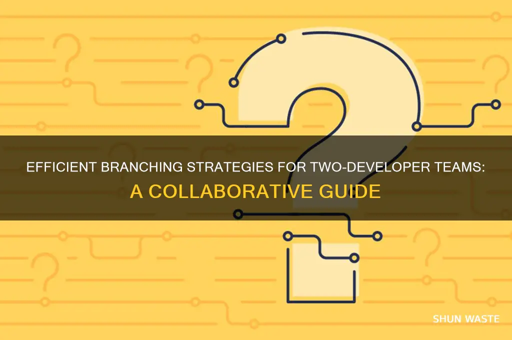 how to work in a two developer environment with branch