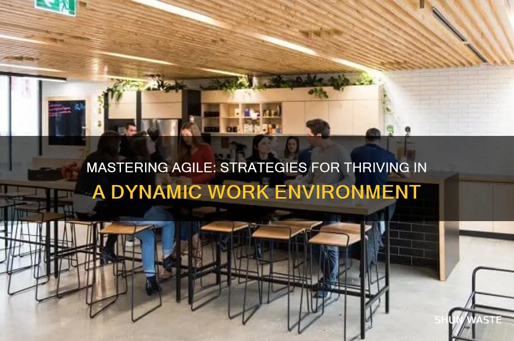 how to work in agile environment