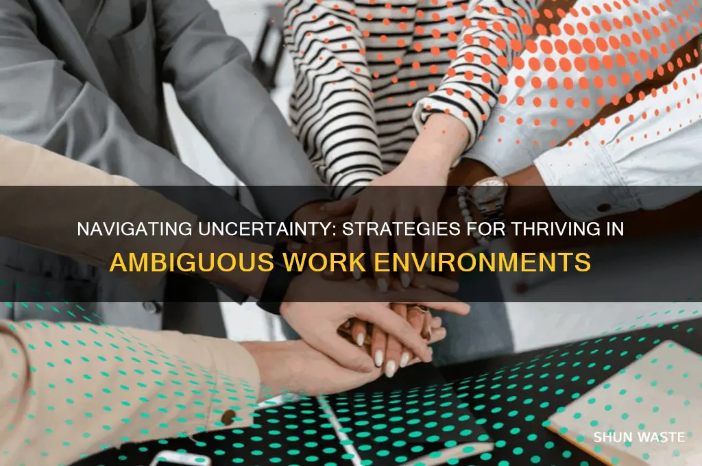 how to work in an ambiguous environment