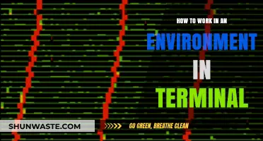 Mastering Terminal: Efficiently Working in Command-Line Environments