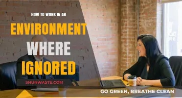 Thriving in Silence: Strategies for Working in an Ignored Environment