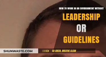 Navigating Chaos: Strategies for Working Without Leadership or Clear Guidelines