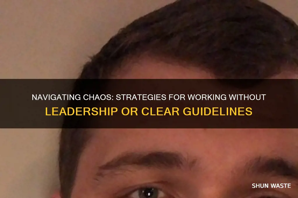 Navigating Chaos: Strategies For Working Without Leadership Or Clear ...