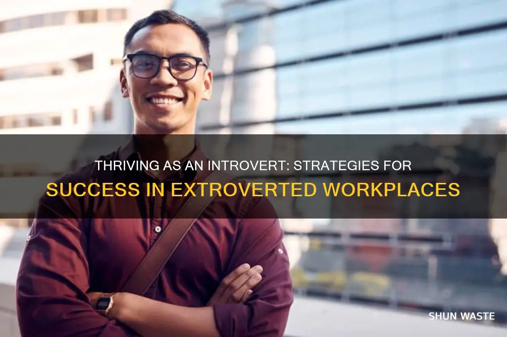 how to work in an extroverted environment