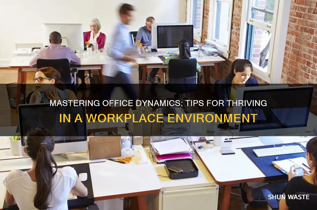 how to work in an office environment