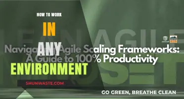 Adapt and Thrive: Mastering Productivity in Any Work Environment